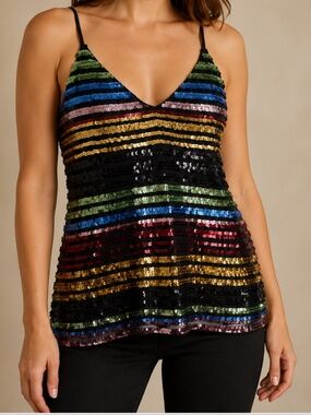 Express XS Multicolor Sequin Striped V-Neck Tank Top